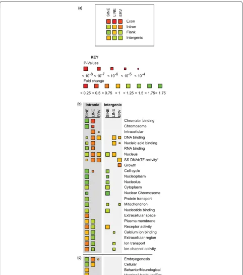 Figure 4 Genome-wide nucleotide composition, gene structure and gene annotation biases for TEV occurrencefor these GC biases, TEVs are substantially and significantly depleted (red shades) in exons and introns, with the notable exception of SINEs thatare e