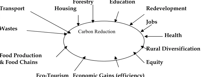 Figure One: Examples of Multiple Consequences of Carbon Reduction at the Local Scale  