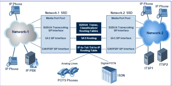 Figure 1-1: Example Showing SIP Interfaces per Application Within SRD 
