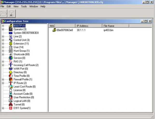 Figure 9: Manager Main Window 