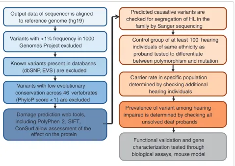 Figure 3. Prioritization of variants to identify causative hearing loss mutations. A series of computational steps (blue background) are required to tackle the many variants that come out of the high-throughput sequencing