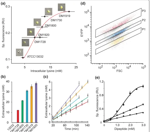 Figure 1 Characterization of lysine sensor and lysine-producing recombinant cellsconcentration (color code as in (b))