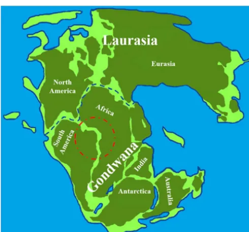 FIG 1 Representation of the supercontinent of Pangea with outlines of the present continents