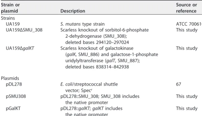 TABLE 3 Bacterial strains and plasmids used in this study