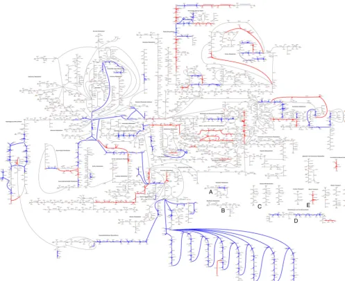 FIG 2 A custom pathway map shows all reactions in the iSMU model. (A high-resolution image is available as Data Set S4 in the supplemental material.)colored by agreement between the essentiality predictions of the associated genes and Tn-seq data from the 