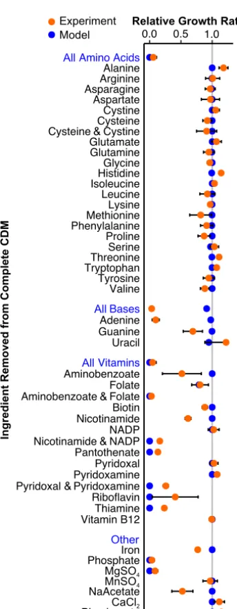 FIG 3 Model predictions (blue) match growth experiments for S. mutans UA159 in deﬁned medium(orange)
