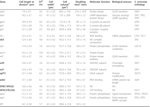 Table 2 Function of the genes identified on the G2/M control