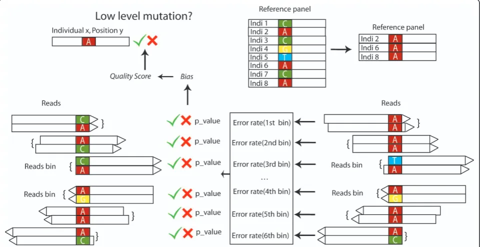 Figure 1 Workflow of the pipelinemodel. The. For each position in the target region, samples having the same consensus nucleotide are used asreference samples