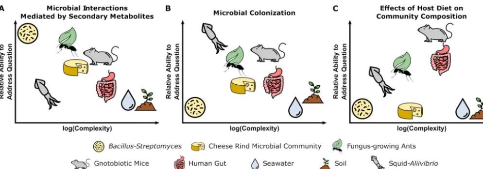 FIG 1 Tradeoffs between experimental questions and complexity of microbiome systems. Each microbiome system is suited to address different types ofbetween host diet and the effects on speciﬁc microbial taxa in a community (see the text for speciﬁc details)