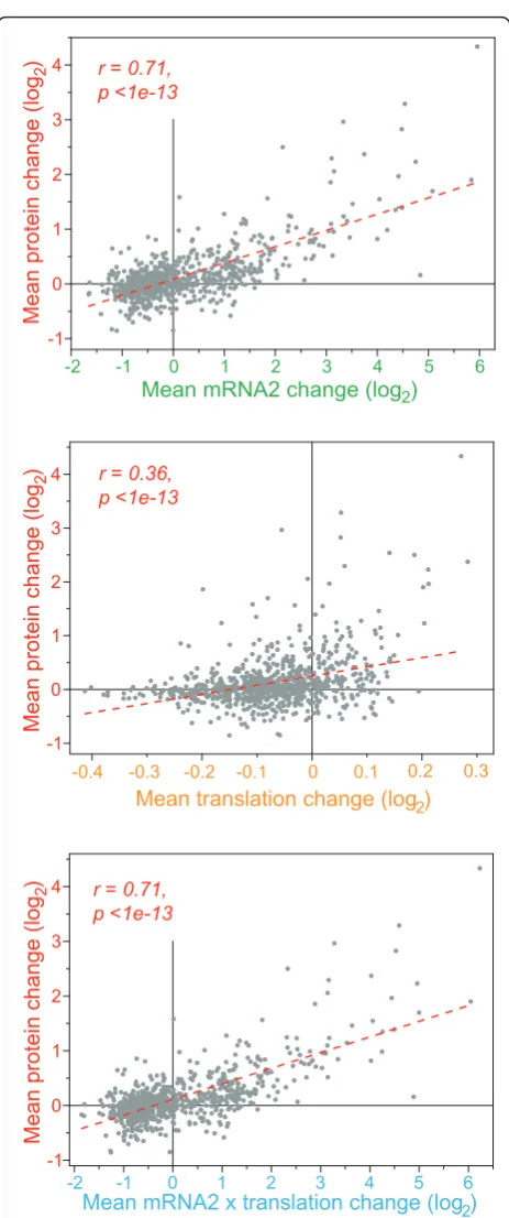 Figure 6 Relationships between mRNA, translation, and proteinregulation. Scatter plots showing linear regressions of the averagelog2 changes of proteins and of average changes in mRNA2experiment (top; Figure 5), average changes in translation (middle),and 