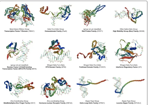 Figure 7 Structural predictions of TF DNA binding domains. To date, we have created 212 structural predictions of the active sites of selectTFs in TFe