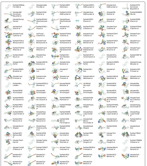 Figure 2 Released mini review articles. These mini review articles - listed in alphabetical order - are those that have been sufficientlycompleted and released by their respective authors