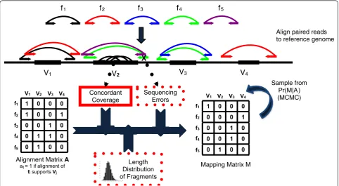 Figure 2 Overview of the GASVProreference. A fragment may either have a unique mapping or be ambiguous with multiple alignments to the reference