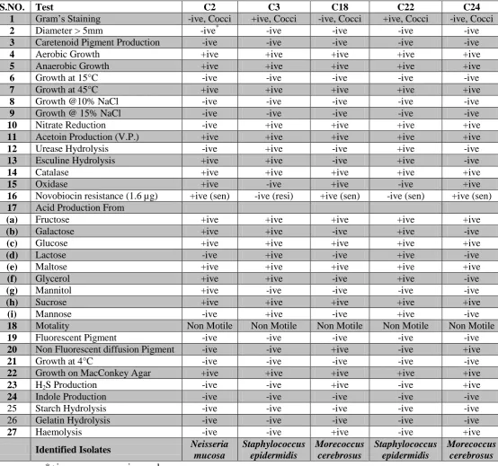 Table 3: Characteristic tests of multidrug-resistant bacterial isolates. 