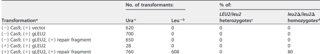 TABLE 2 LEU2 mutagenesis
