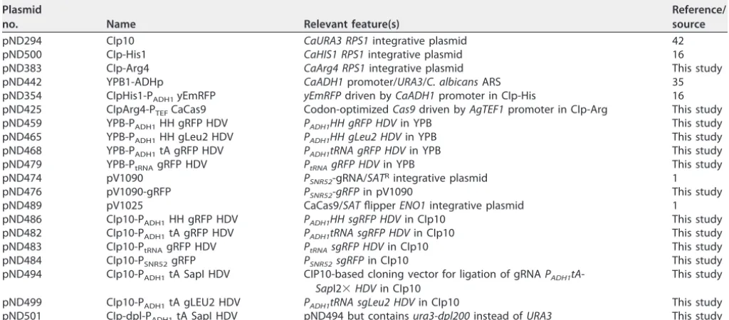 TABLE 4 Strains used in this study
