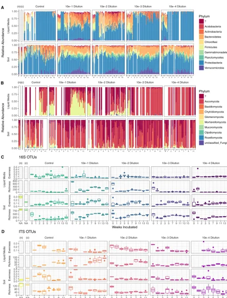 FIG 1 The successional dynamics of microbial consortia. Differences in microbial community structure and alpha diversity are plotted with respectto native soil communities (labeled as “n”), the 6-week-chitin-enriched communities (labeled as “c”), uninocula