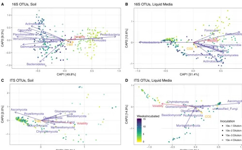 FIG 3 The biological and physical variables correlated with beta diversity. Ordinations present canonical analysis of principal coordinates (CAP) of weightedUniFrac distances between samples