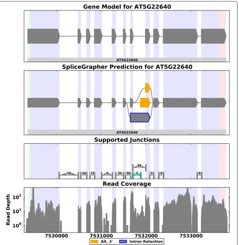 Figure 1 Example of a predicted splice graph in A. thaliana. RNA-Seq alignment data were loaded along with gene model annotations tocreate a composite model that incorporates all available evidence