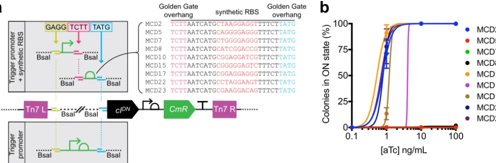 FIG 2 Tuning of trigger sensitivity is achieved through modular incorporation of RBS variants
