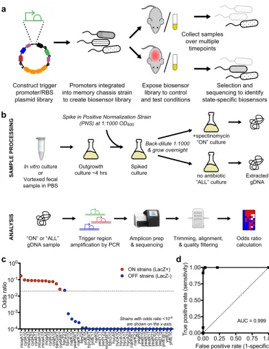 FIG 3 Biosensor trigger library screening and analysis. (a) Libraries were constructed as plasmids, integrated into the genomeat single copy, and screened as a pool for differential response to growth in control and test environments