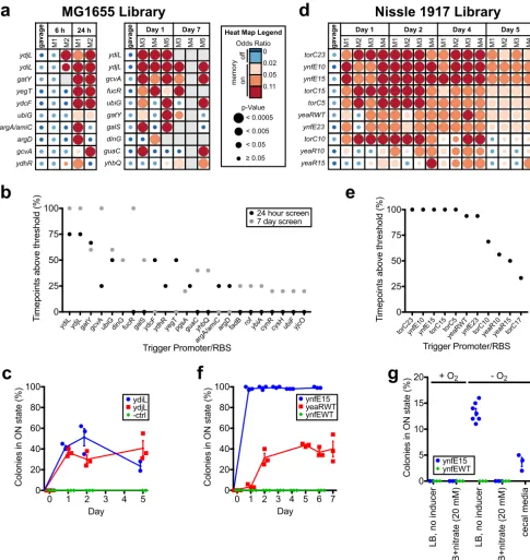 FIG 4 Library screening and individual sensor testing identiﬁes biosensor triggers responding in thecourse of the experiment