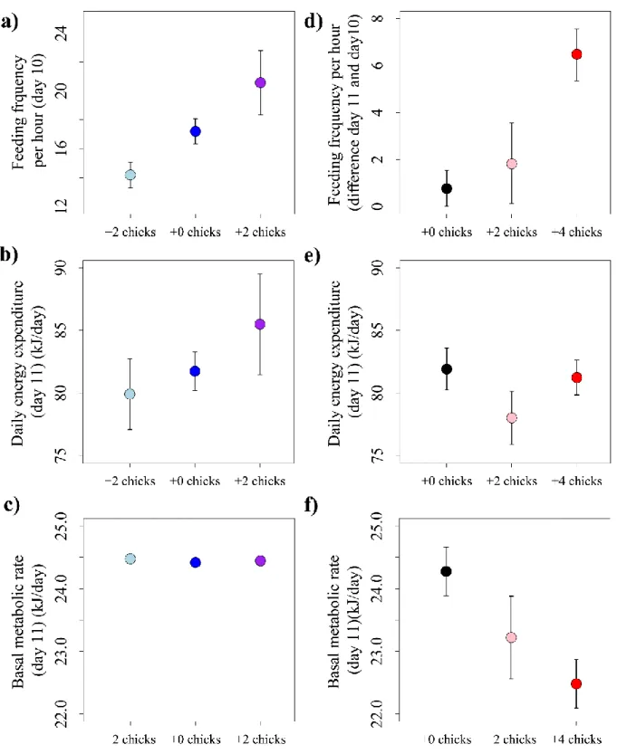 Figure 2: The effects of brood size manipulations on day 2 (A-C) and day 11 (D-F) on the feeding  frequency (A &amp; D), daily energy expenditure (B &amp; E) and basal metabolic rate (C &amp; F)