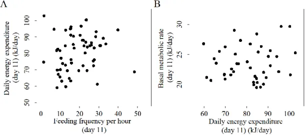 Figure A1: Relationship between A) daily energy expenditure (kJ/day) and feeding frequency per  hour and B) daily energy expenditure (kJ/day) and basal metabolic rate (kJ/day) at day 11