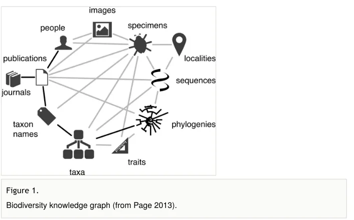 Figure 1. Biodiversity knowledge graph (from Page 2013).
