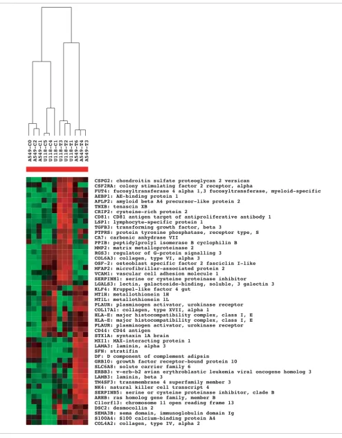 Figure 2 (see legend on previous page)