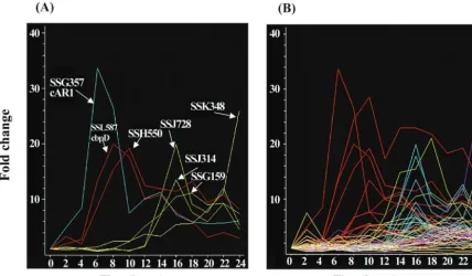 FIG. 8. Expression of PstO genes in Ax2 and the dmtAAx2 and the(a and b) and SSM184 (c and d)