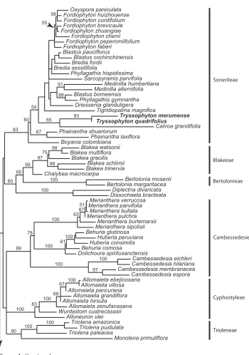 Figure 1. Continued.