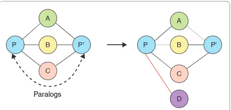 Figure 4. Estimating the rate of interaction rewiring using paralogs. Red, gray and black lines represent gained, lost and unchanged interactions, respectively