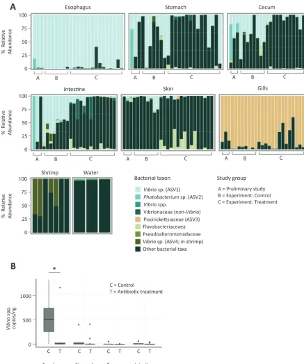 FIG 1 A singlecuttleﬁsh in captivity. (A) Relative abundance of top bacterial taxa found among cuttleﬁsh organs