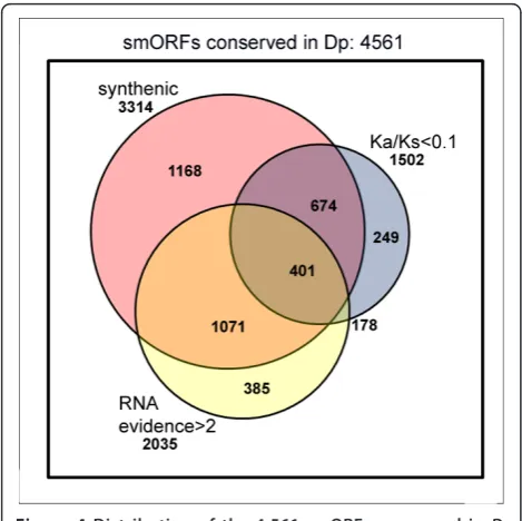 Table 2 Ka/Ks analysis of 4,561 smORFs conserved in D.pseudoobscura