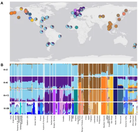 Fig. 2- (A) Map of brown rat sampling locations with average proportion of ancestry per site 