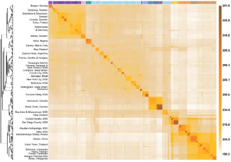 Fig. 3- Coancestry heat map of brown rats, where light and dark brown, respectively denote 