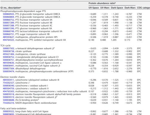 TABLE 1 Dysregulated proteins involved in catabolic pathways