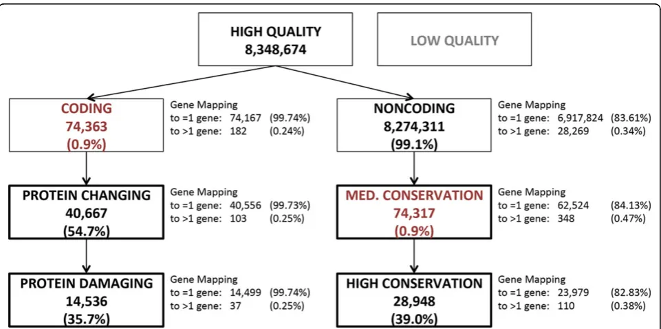 Figure 1 Variant prioritization process and summary statistics. Arrows represent the identification progressively of smaller groups ofprioritized variants