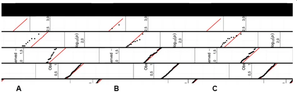 Table 1 Descriptive statistics of different grouping or binning strategies based on annotations of sequence variantson chromosome 3