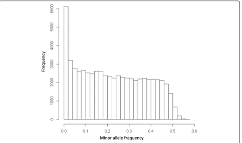 Figure 1 Histogram of distribution of minor allele frequency in genotypes.
