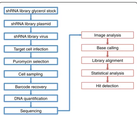 Figure 1 Workflow of a typical shRNA barcode screen. Thesteps in blue boxes represent the experimental phase, whereas thesteps in red boxes represent the computational analysis phase.
