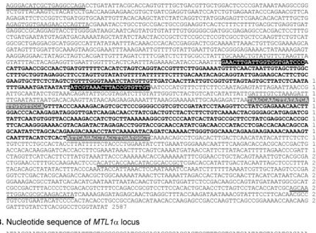 FIG. 2. Nucleotide sequences of the MTL1forwhite print, and those for3print. The primer pairs forboxes with white print