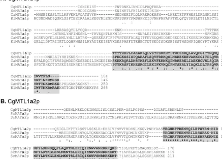 FIG. 3. Sequence comparison of MTL1a(A) Aligned sequences ofsequences ofamino acid residues (boldface) involved in the interaction betweenfunctional groups, and one dot indicates conservative substitutions based on similar effects on secondary structure