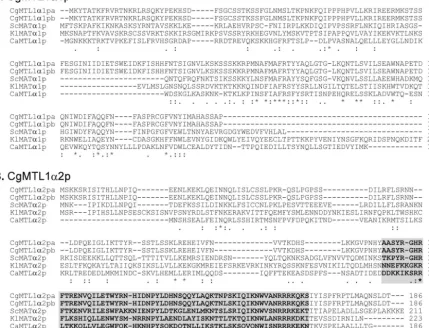 FIG. 4. Sequence comparison of MTL1�glabrata(CgMTL1sequences ofacids of thispanel B and the method used to indicate conserved amino acid sequences are described in the legend to Fig