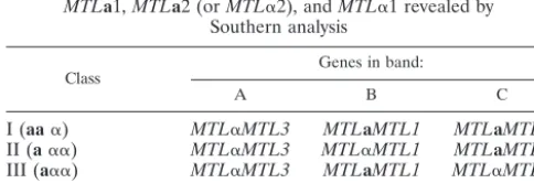 TABLE 3. Classiﬁcation of 38 C. glabrata strains based on the distribution of MTLa1, MTLa2 (or MTL�2), and MTL�1 revealed bySouthern analysis