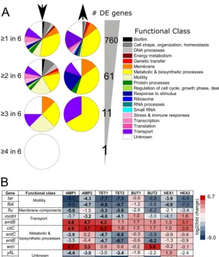 FIG 2 Intersections in differentially expressed (DE) genes across adapted populations
