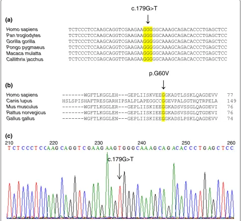 Figure 4 Cross-species analysis and SHROOM3 mutation. (a) Partial nucleotide sequence of SHROOM3 from different species showingconserved codon for glycine at amino acid position 60 and mutated nucleotide G shown by an arrow