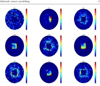 Fig. 6 Plots of the spatial distribution of NF-κB molecules inside a cell at times t=0, 42,84, 128, 196, 292, 356, 400, 464 minutes