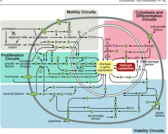 Fig. 1 Key intracellular signalling pathways and the cell functions they are connected with,illustrating the connection between the intracellular scale and the cellular scale
